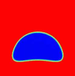 rising bubble